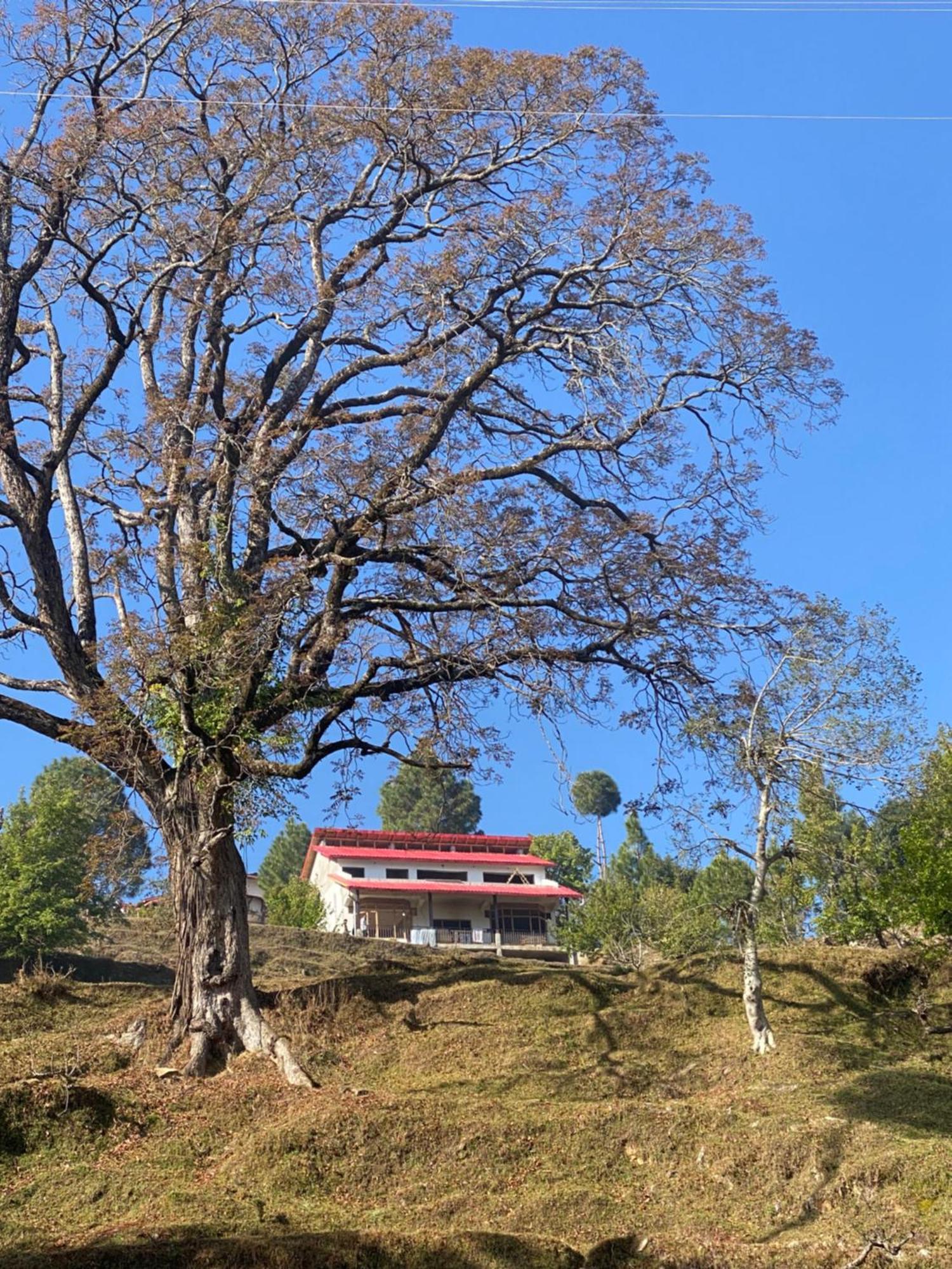 Little Frida- The Dak Bungalows Mukteshwar Esterno foto